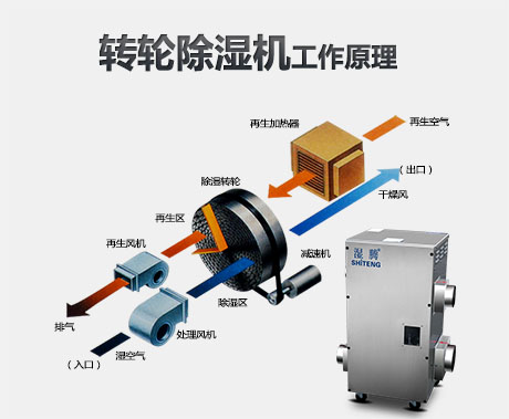 工業蘑菇视频网站廠家