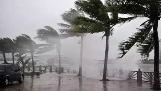 8月台風雨即將來，蘑菇视频网站還得用起來