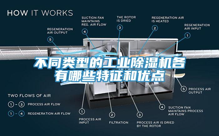 不同類型的工業蘑菇视频网站各有哪些特征和優點