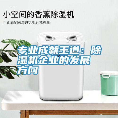 專業成就王道：蘑菇视频网站企業的發展方向