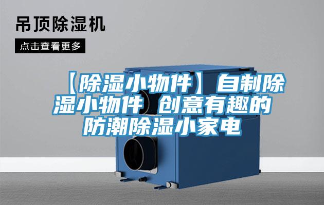 【除濕小物件】自製除濕小物件 創意有趣的防潮除濕小家電