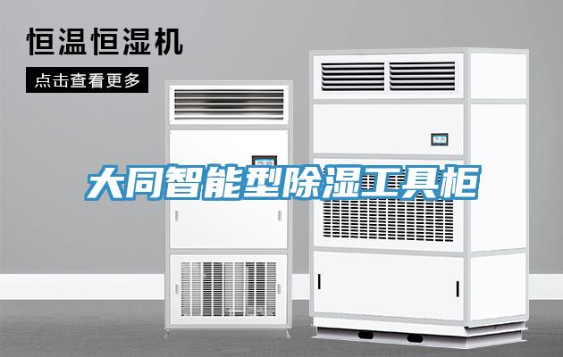 大同智能型除濕工具櫃