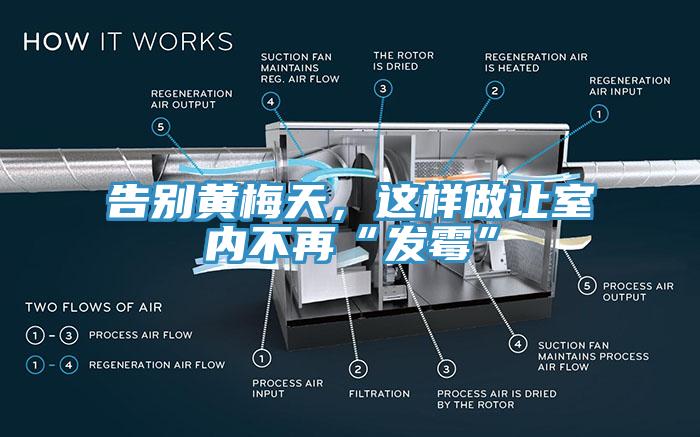 告別黃梅天，這樣做讓室內不再“發黴”