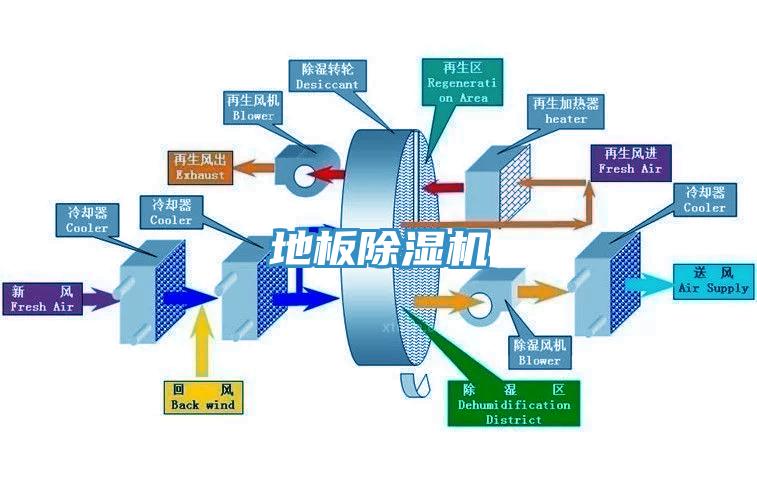 地板蘑菇视频网站