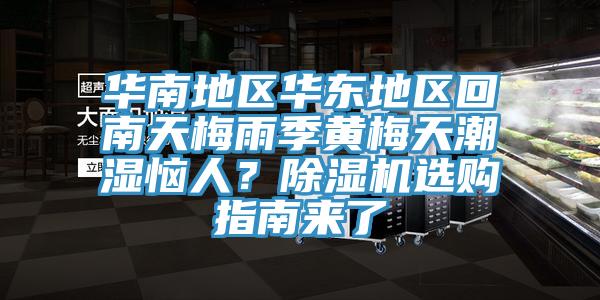 華南地區華東地區回南天梅雨季黃梅天潮濕惱人？蘑菇视频网站選購指南來了