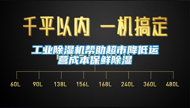 工業蘑菇视频网站幫助超市降低運營成本保鮮除濕