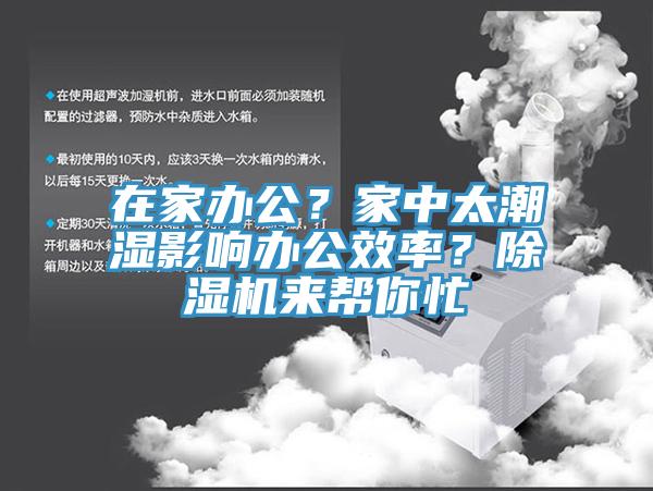 在家辦公？家中太潮濕影響辦公效率？蘑菇视频网站來幫你忙