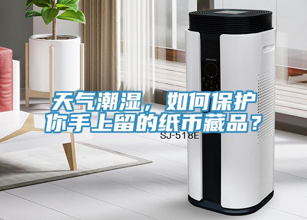 天氣潮濕，如何保護你手上留的紙幣藏品？