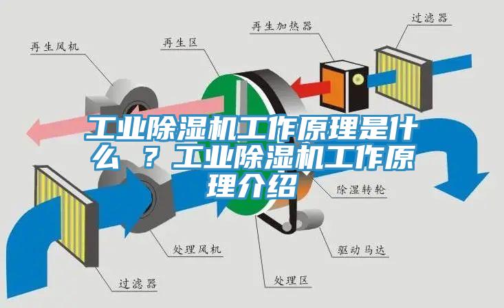 工業蘑菇视频网站工作原理是什麽 ？工業蘑菇视频网站工作原理介紹