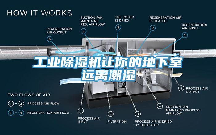 工業蘑菇视频网站讓你的地下室遠離潮濕