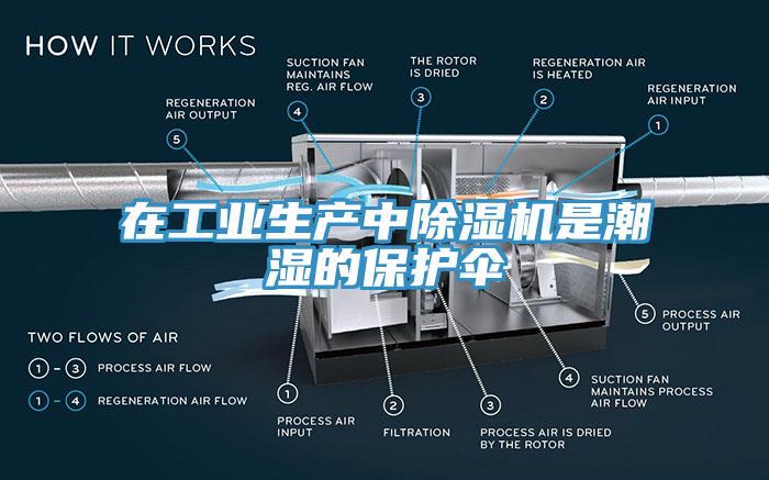 在工業生產中蘑菇视频网站是潮濕的保護傘