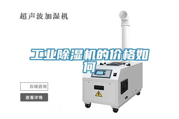 工業蘑菇视频网站的價格如何