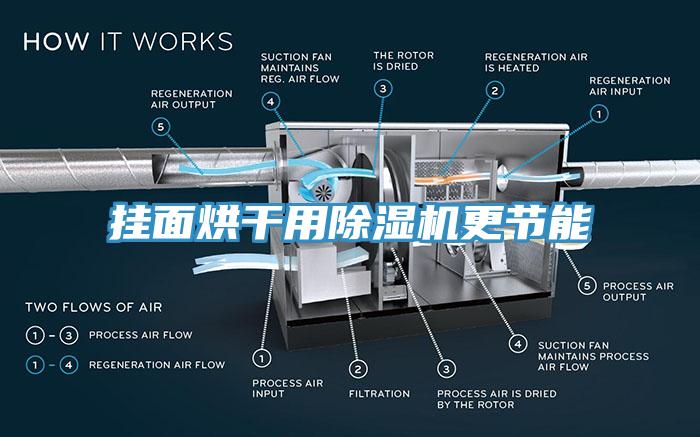 掛麵烘幹用蘑菇视频网站更節能