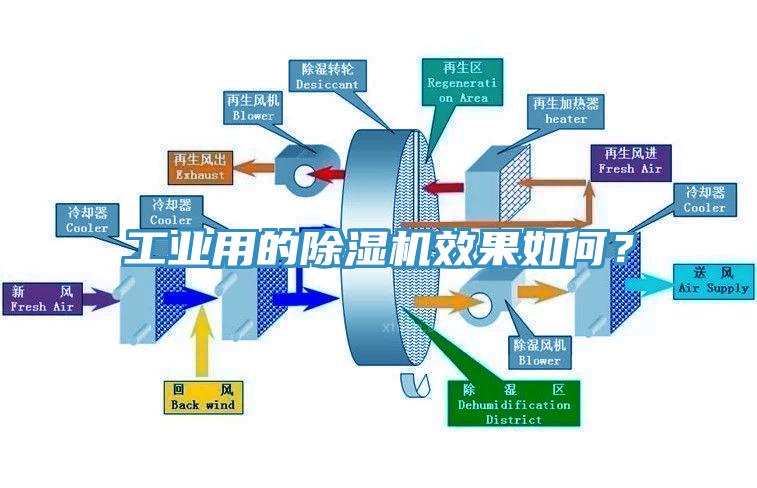 工業用的蘑菇视频网站效果如何？