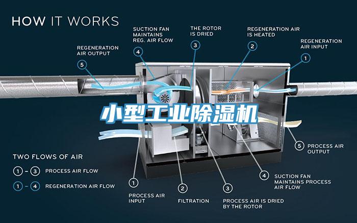 小型工業蘑菇视频网站