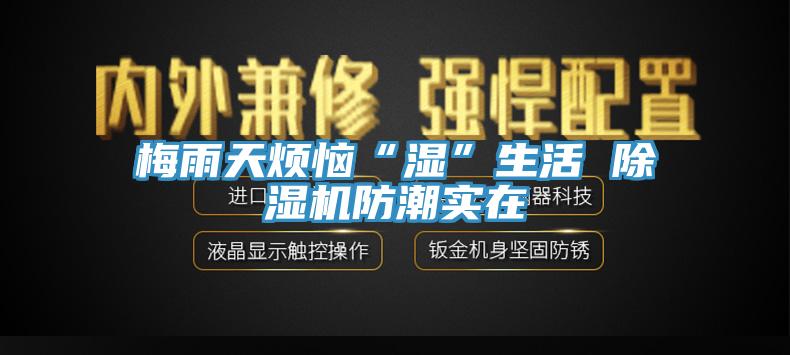 梅雨天煩惱“濕”生活 蘑菇视频网站防潮實在