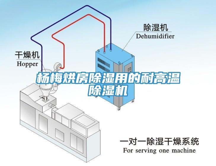 楊梅烘房除濕用的耐高溫蘑菇视频网站