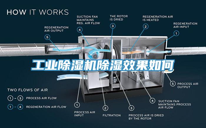 工業蘑菇视频网站除濕效果如何