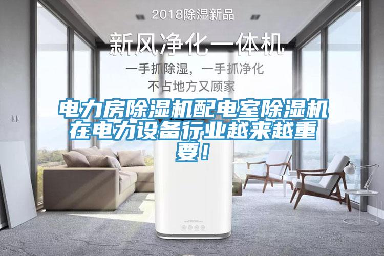 電力房蘑菇视频网站配電室蘑菇视频网站在電力設備行業越來越重要！