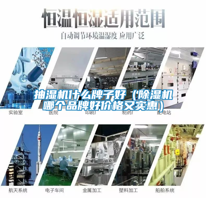 抽濕機什麽牌子好（蘑菇视频网站哪個品牌好價格又實惠）