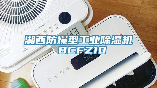 湘西防爆型工業蘑菇视频网站 BCFZ10