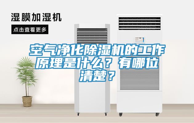 空氣淨化蘑菇视频网站的工作原理是什麽？有哪位清楚？