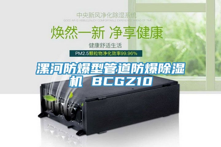 漯河防爆型管道防爆蘑菇视频网站 BCGZ10