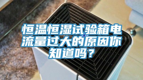 恒溫恒濕試驗箱電流量過大的原因你知道嗎？