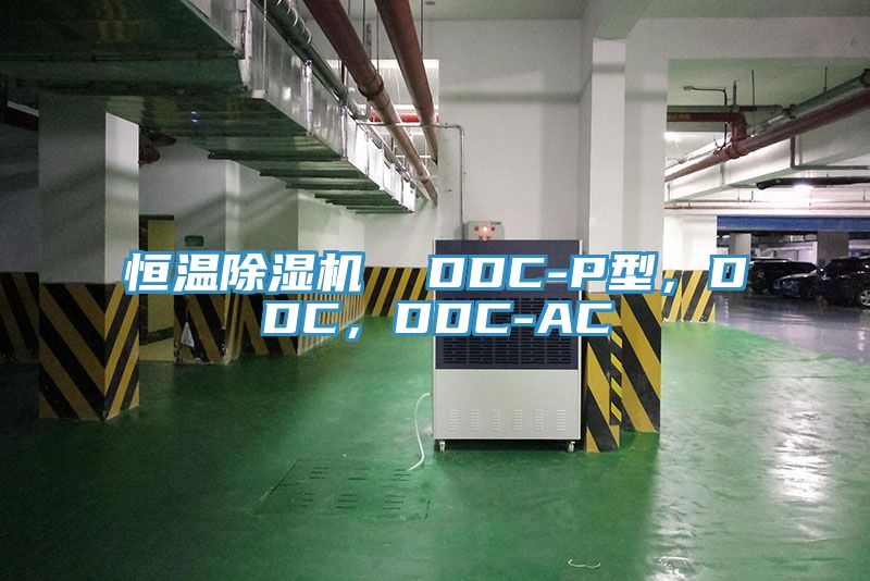 恒溫蘑菇视频网站  DDC-P型，DDC，DDC-AC