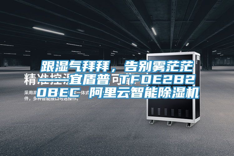 跟濕氣拜拜，告別霧茫茫——宜盾普 TFDE2B20BEC 阿裏雲智能蘑菇视频网站