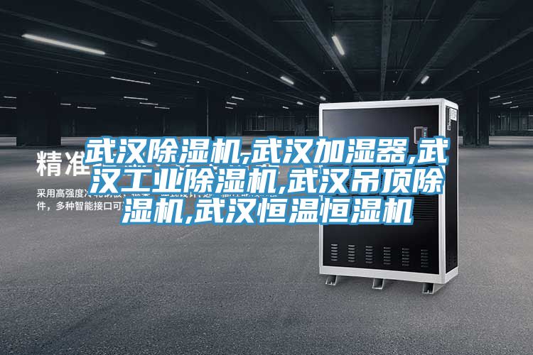 武漢蘑菇视频网站,武漢加濕器,武漢工業蘑菇视频网站,武漢吊頂蘑菇视频网站,武漢恒溫恒濕機