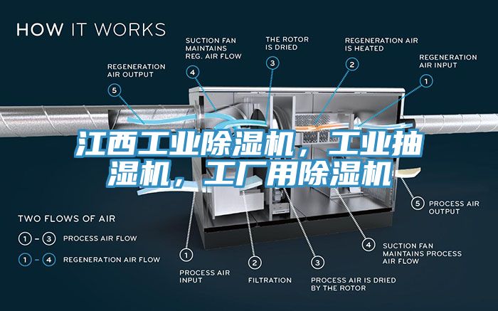 江西工業蘑菇视频网站，工業抽濕機，工廠用蘑菇视频网站