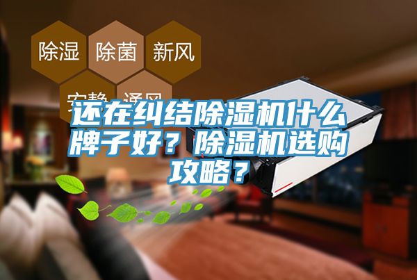 還在糾結蘑菇视频网站什麽牌子好？蘑菇视频网站選購攻略？