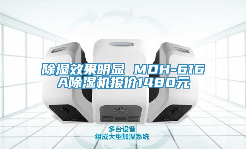 除濕效果明顯 MDH-616A蘑菇视频网站報價1480元