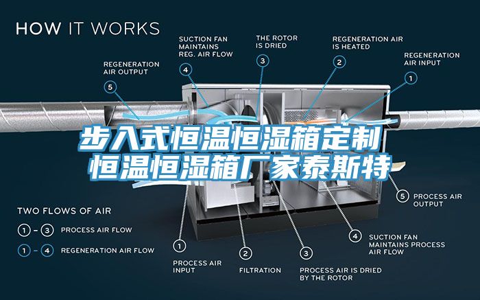 步入式恒溫恒濕箱定製 恒溫恒濕箱廠家泰斯特