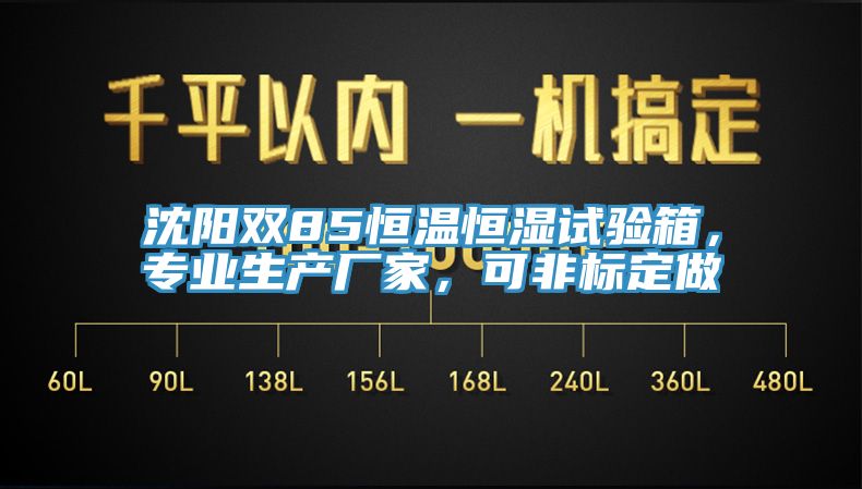 沈陽雙85恒溫恒濕試驗箱，專業生產廠家，可非標定做