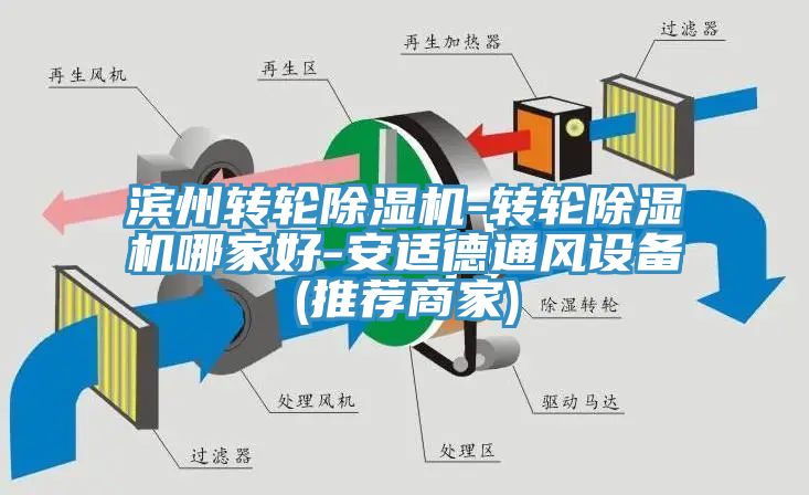 濱州轉輪蘑菇视频网站-轉輪蘑菇视频网站哪家好-安適德通風設備(推薦商家)