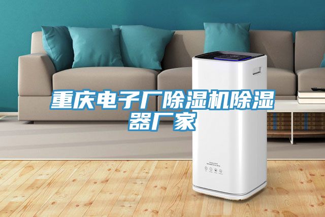 重慶電子廠蘑菇视频网站除濕器廠家