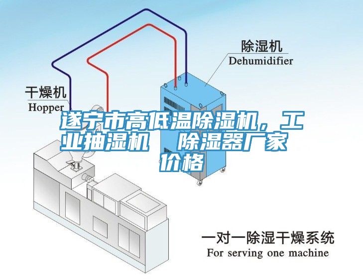 遂寧市高低溫蘑菇视频网站，工業抽濕機  除濕器廠家 價格