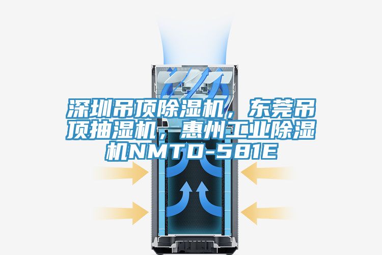 深圳吊頂蘑菇视频网站，東莞吊頂抽濕機，惠州工業蘑菇视频网站NMTD-581E