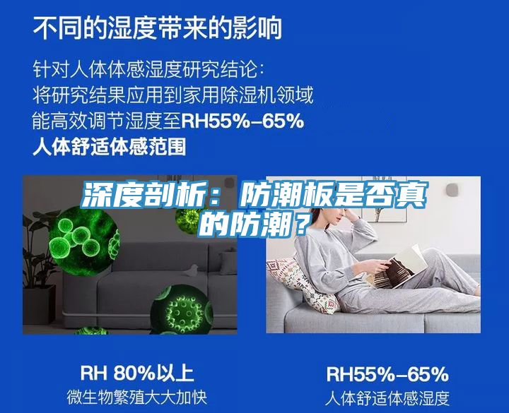 深度剖析：防潮板是否真的防潮？