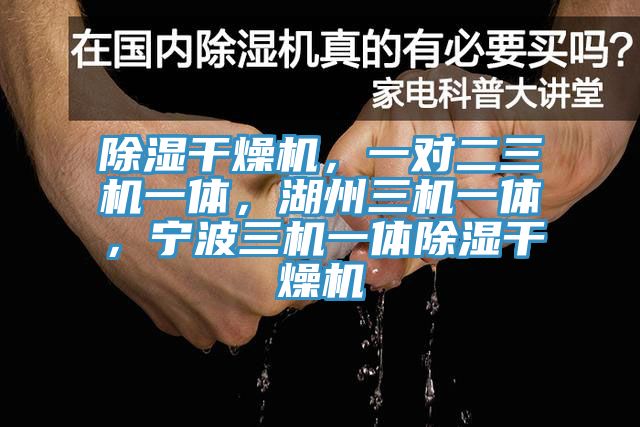 除濕幹燥機，一對二三機一體，湖州三機一體，寧波三機一體除濕幹燥機