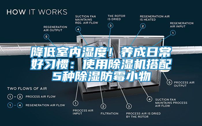 降低室內濕度！養成日常好習慣：使用蘑菇视频网站搭配5種除濕防黴小物