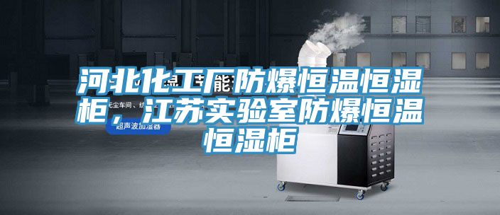 河北化工廠防爆恒溫恒濕櫃，江蘇實驗室防爆恒溫恒濕櫃