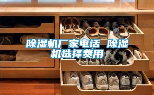 蘑菇视频网站廠家電話 蘑菇视频网站選擇費用