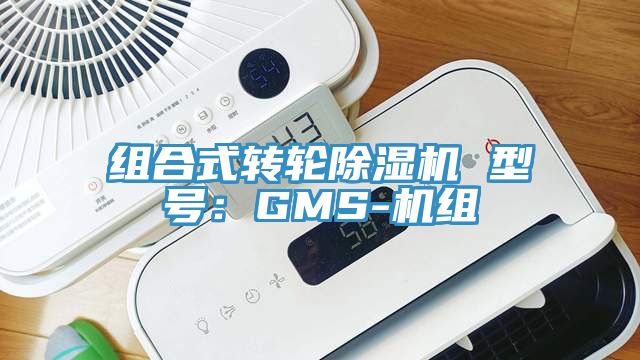 組合式轉輪蘑菇视频网站 型號：GMS-機組