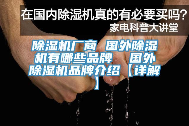 蘑菇视频网站廠商 國外蘑菇视频网站有哪些品牌  國外蘑菇视频网站品牌介紹【詳解】