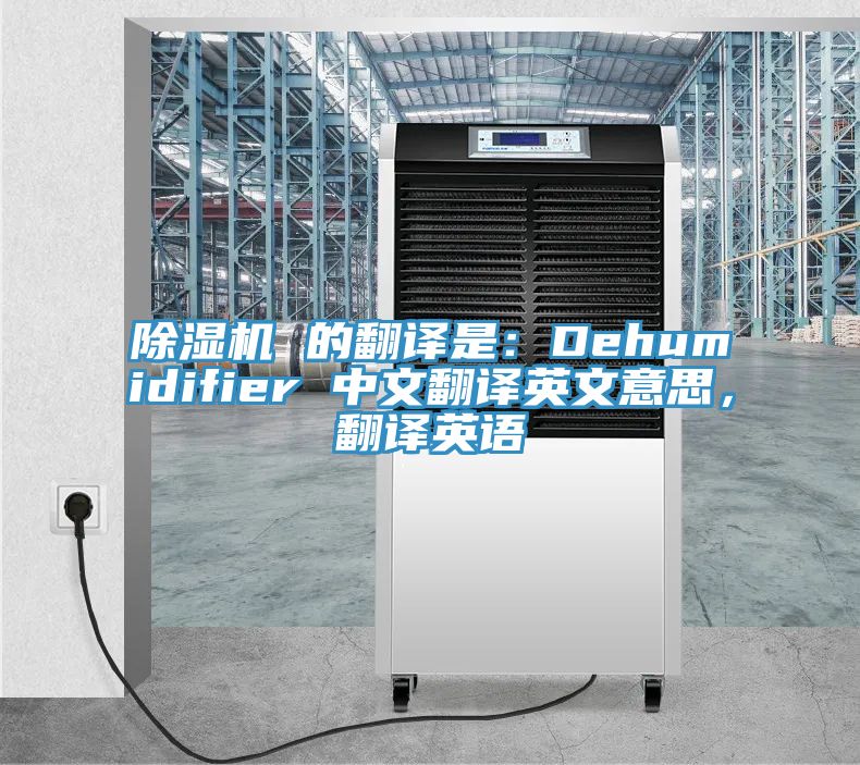 蘑菇视频网站 的翻譯是：Dehumidifier 中文翻譯英文意思，翻譯英語