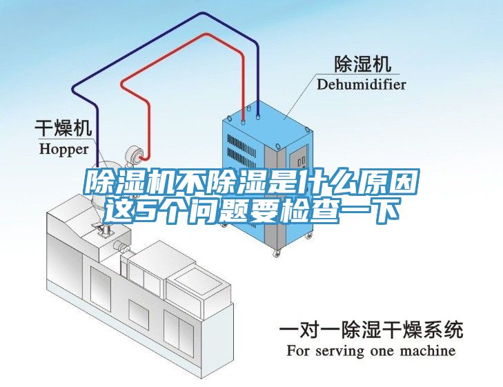 蘑菇视频网站不除濕是什麽原因這5個問題要檢查一下