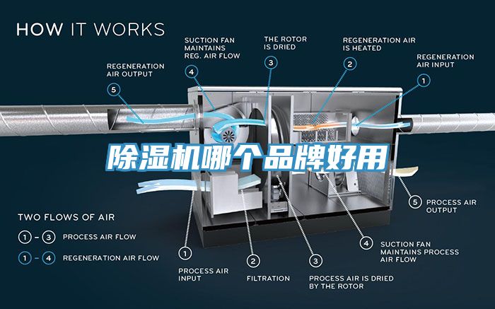 蘑菇视频网站哪個品牌好用